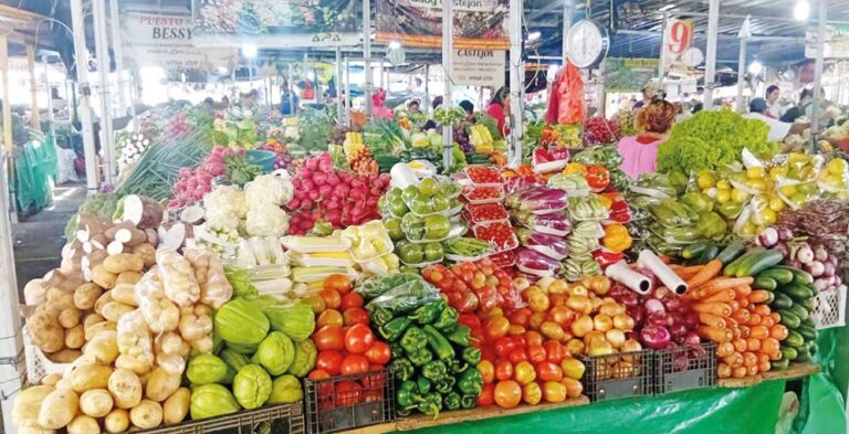 Más de 1.2 millones de MiPymes enfrentan severas crisis para sobrevivir en Honduras